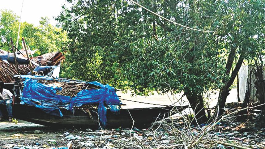 sundarbans_5_0.jpg