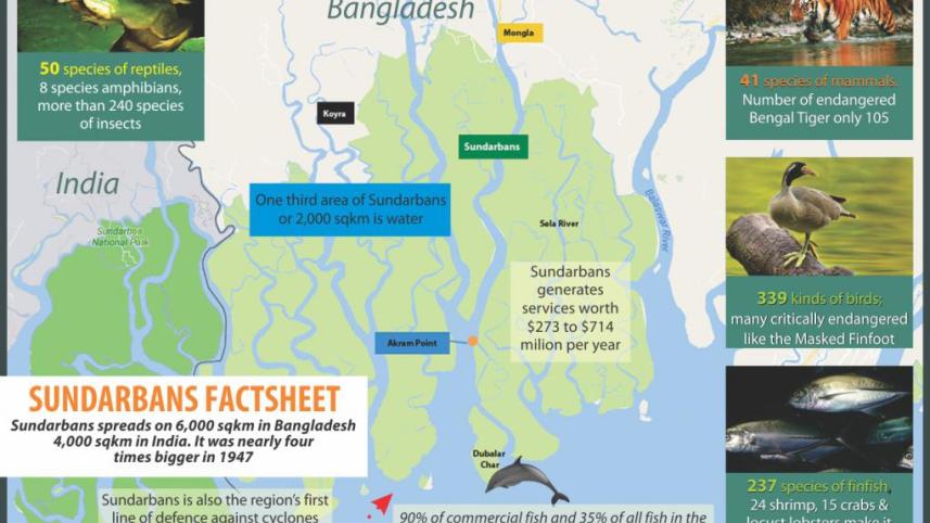 sundarbans_6_0.jpg
