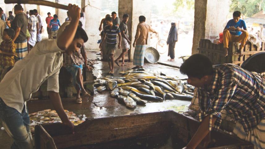 Surviving fish market