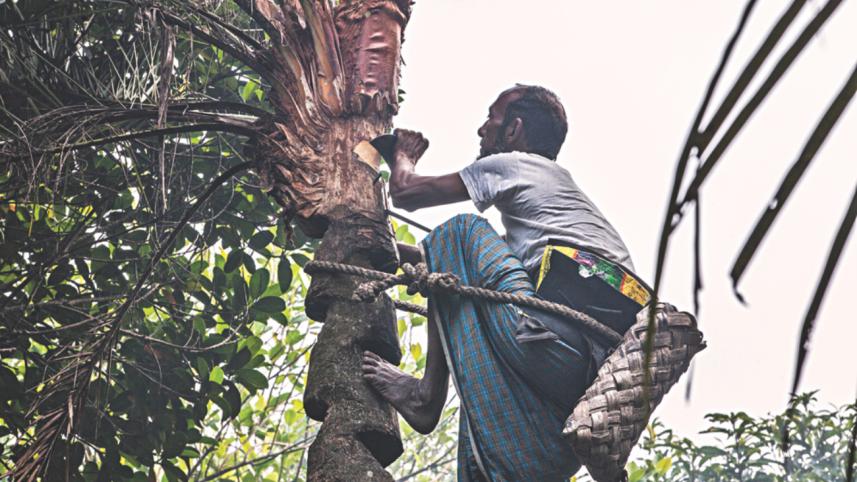 Sweet Winter Mornings 2.jpg