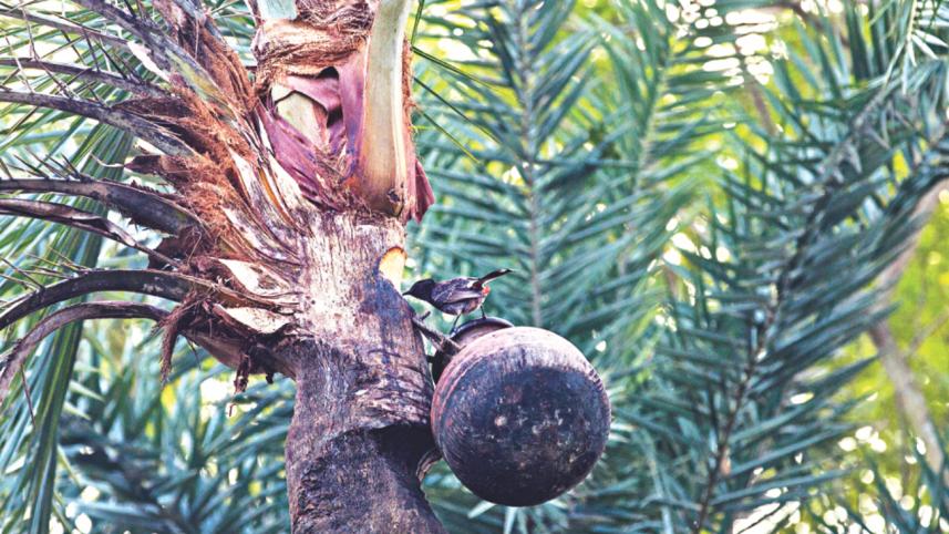 Sweet Winter Mornings 3.jpg