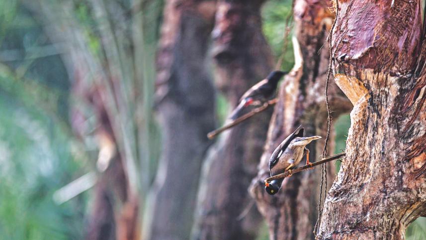 Sweet Winter Mornings 6.jpg