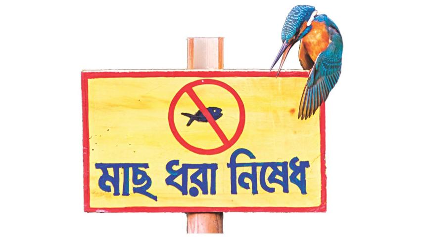 The Art of Light 08.jpg