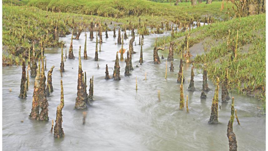 this beach in sitakunda