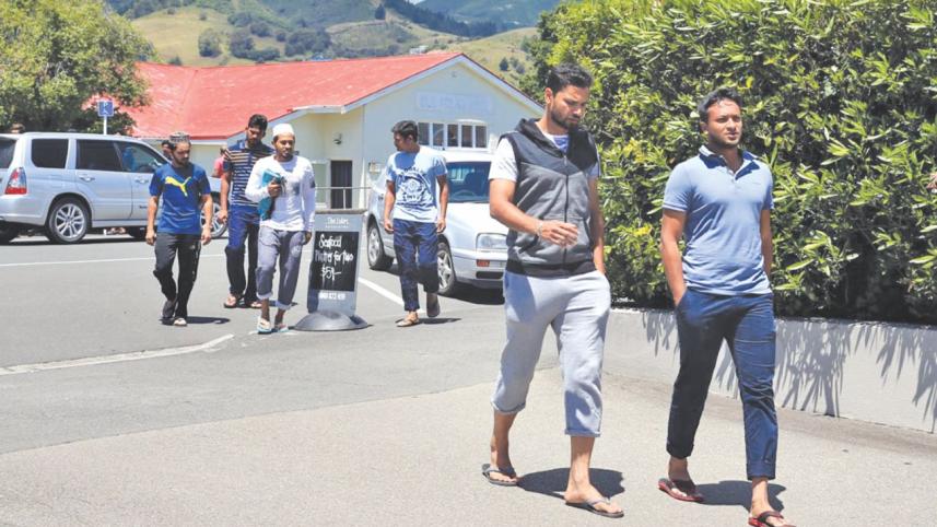 tigers in nelson.jpg