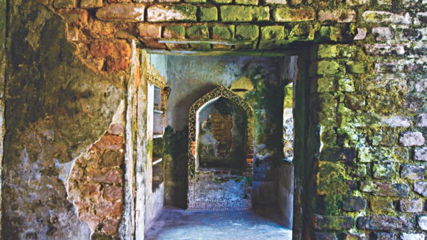 Travel in luxury or on a budget