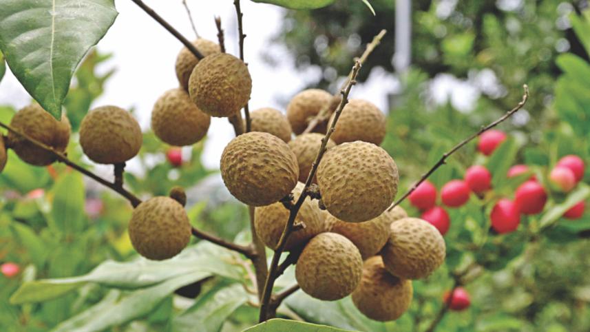 trees and plants 2.jpg