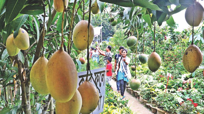 trees and plants 5.jpg