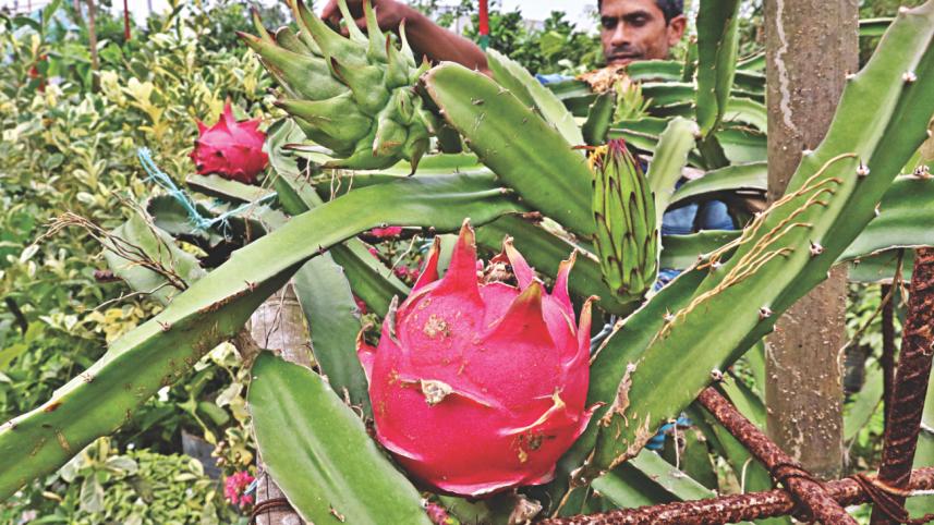 trees and plants 8.jpg