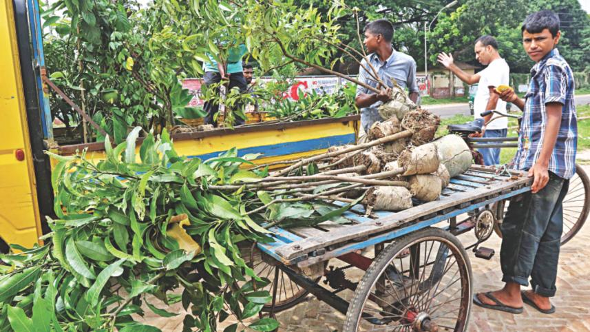 trees and plants 9.jpg