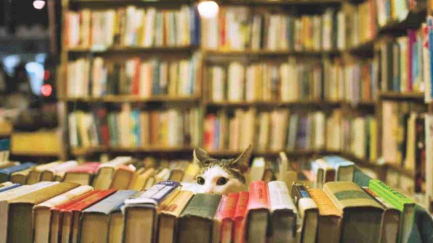 types_of_people_in_bookstores1