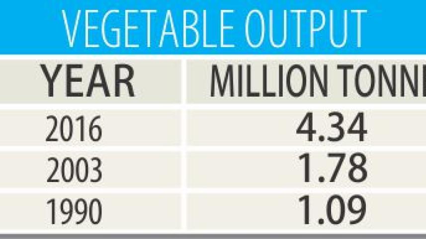 veg output.jpg