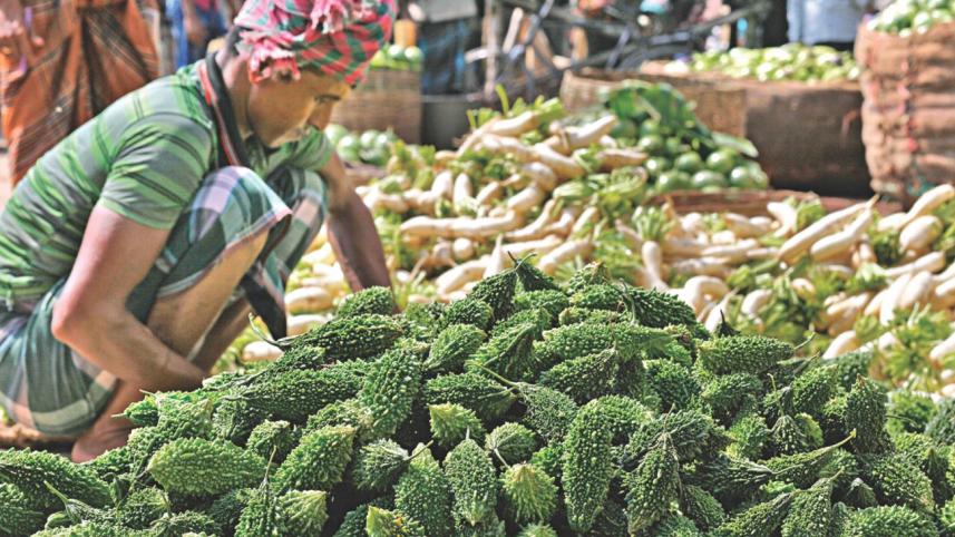 vegetable village 1.jpg