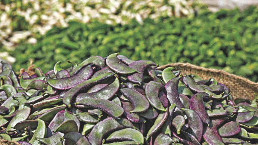 vegetable village 6.jpg