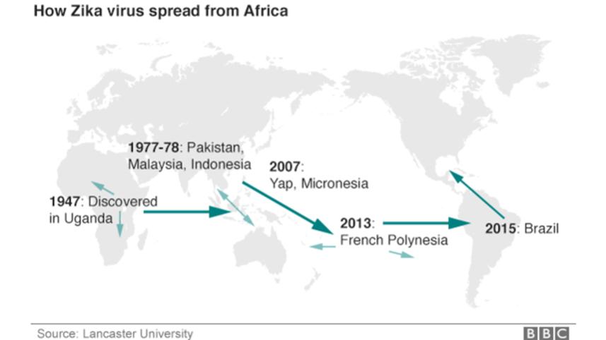 zika-3-web.jpg