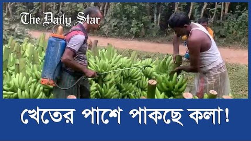 This country belongs to women too