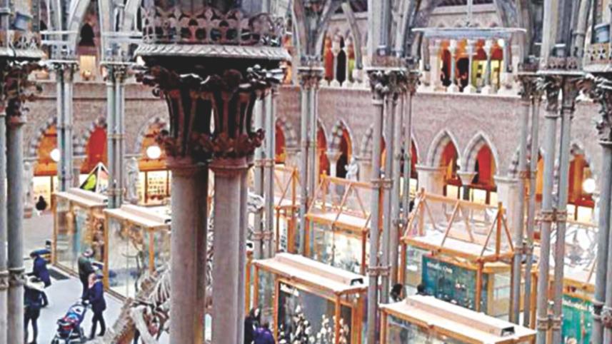 Oxford University Museum of Natural History