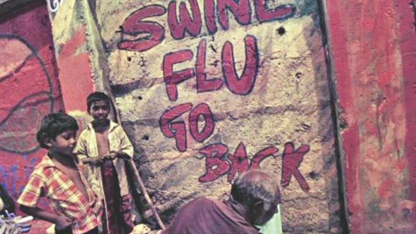 swine-flu.jpg