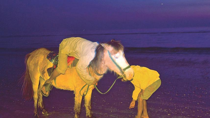 WHAT'S LIFE WITHOUT HORSES