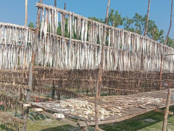 Untitled design (77).jpg