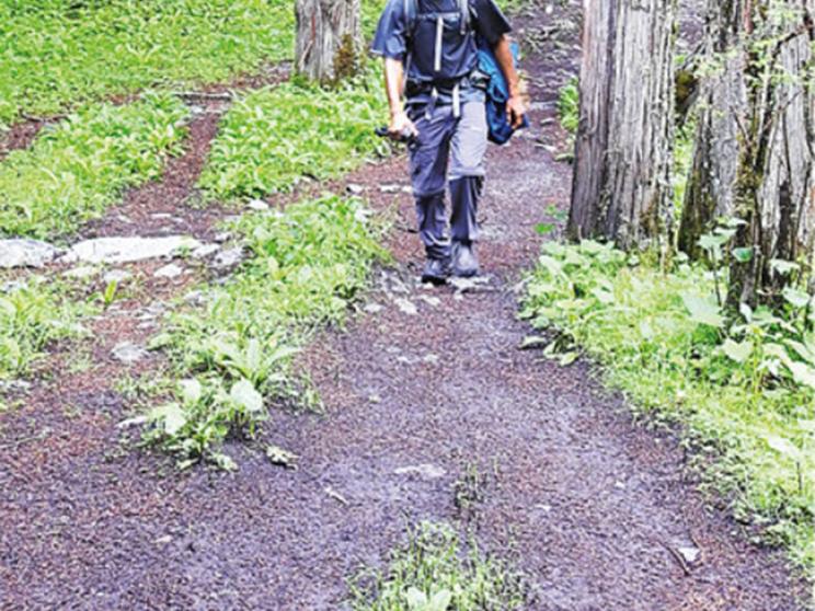 himalayan-trail-8_0.jpg