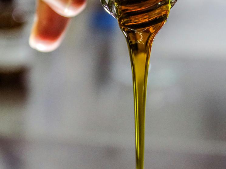 Embrace olive oil in your winter skincare routine