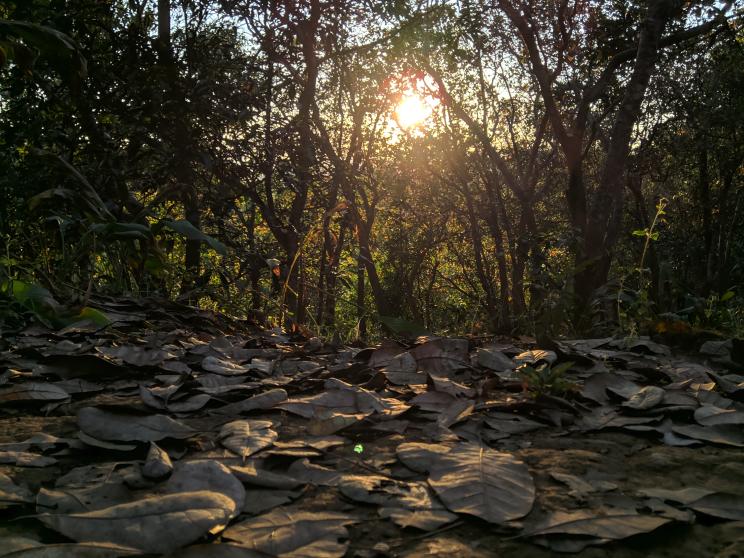 The rise of domestic tourism: Challenges and opportunities