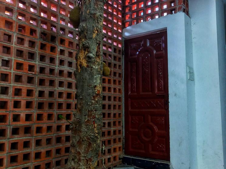 Felling trees, rising temperatures: Dhaka's environmental wake-up call