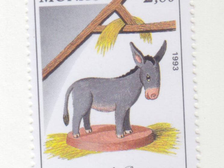 Confessions of a donkey enthusiast 