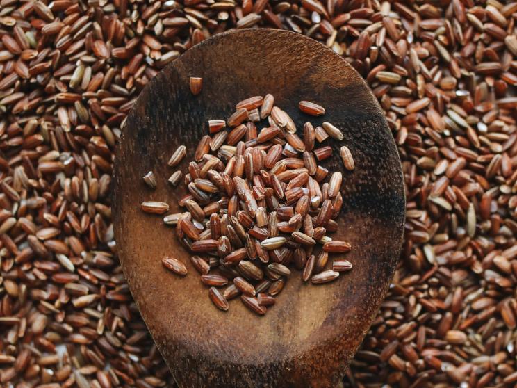 Can rice really make you fat, or are we just looking for excuses?                     pexels-polina-tankilevitch-4110253.jpg