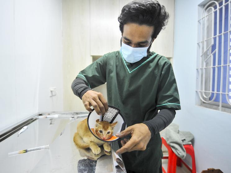 Dhaka’s pets deserve better, but can owners afford it?