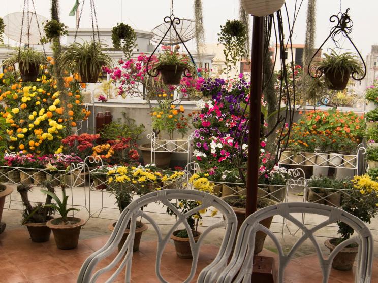 Jazz up your garden this summer with these simple tricks!