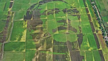 bangabandhu sheikh mujibur rahman