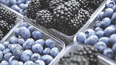 blueberries-may-help.jpg