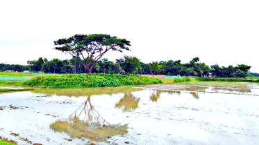 109498235_321257222593060_9094696354771154305_o (1).jpg