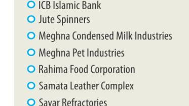 10 firms divident.jpg