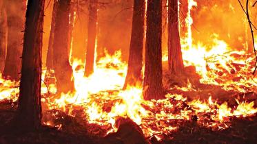 fire.jpg