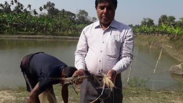 Swapans-prawn-farming.jpg
