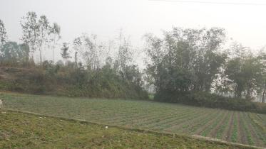 archaeological-site-Nilphamari.jpg