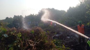 sundarban-forest-fire.jpg