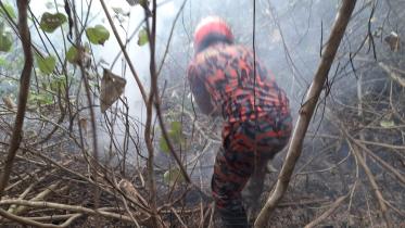 Fire-sundarbans.jpg