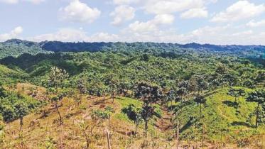 lathitila reserve forest