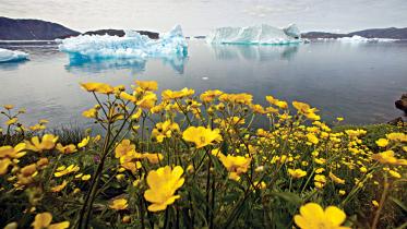 Climate-change.jpg