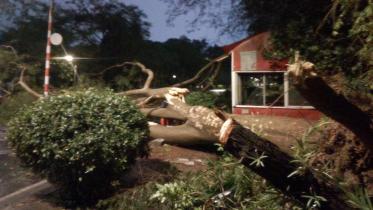 Nor’wester in Bangladesh