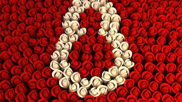 8march
