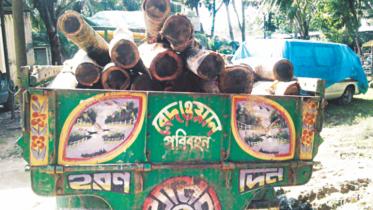 A seized truck.jpg