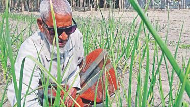Abdul Quader Bhasani