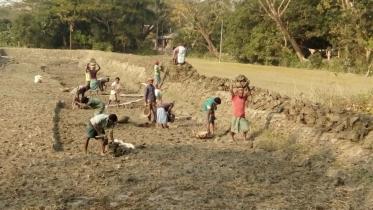 Agri land decline.jpg