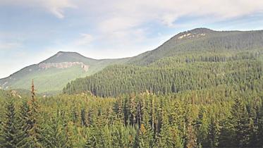 Along the shores of the Pacific