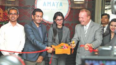 Amaya